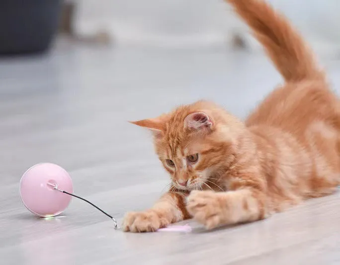 Cat USB Charging Ball