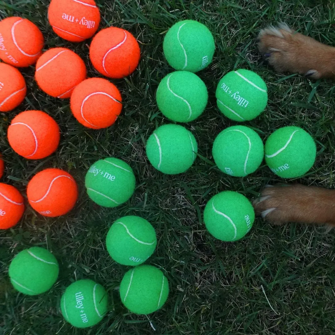 Tennis Ball Bundle for Dogs | Set of 3