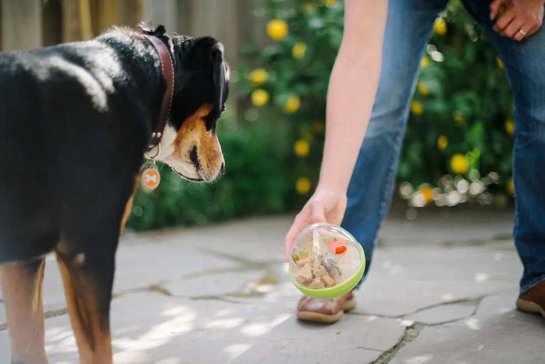 Wobble Ball Enrichment Toy