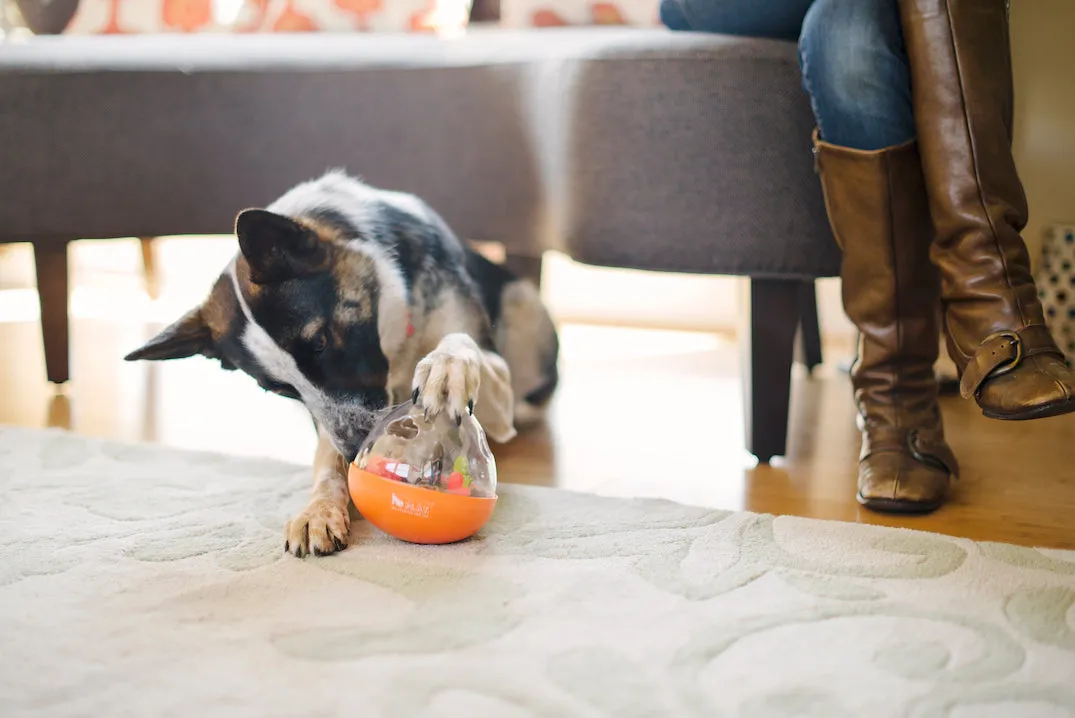 Wobble Ball Enrichment Toy